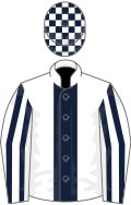 White, dark blue stripe, striped sleeves, check cap