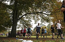 Runners participating in a parkrun event