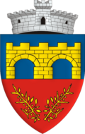 Coat of arms of Chichiș