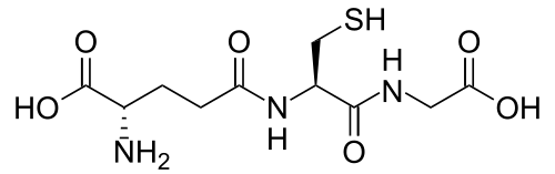 2D representation of the chemical structure of glutathione.