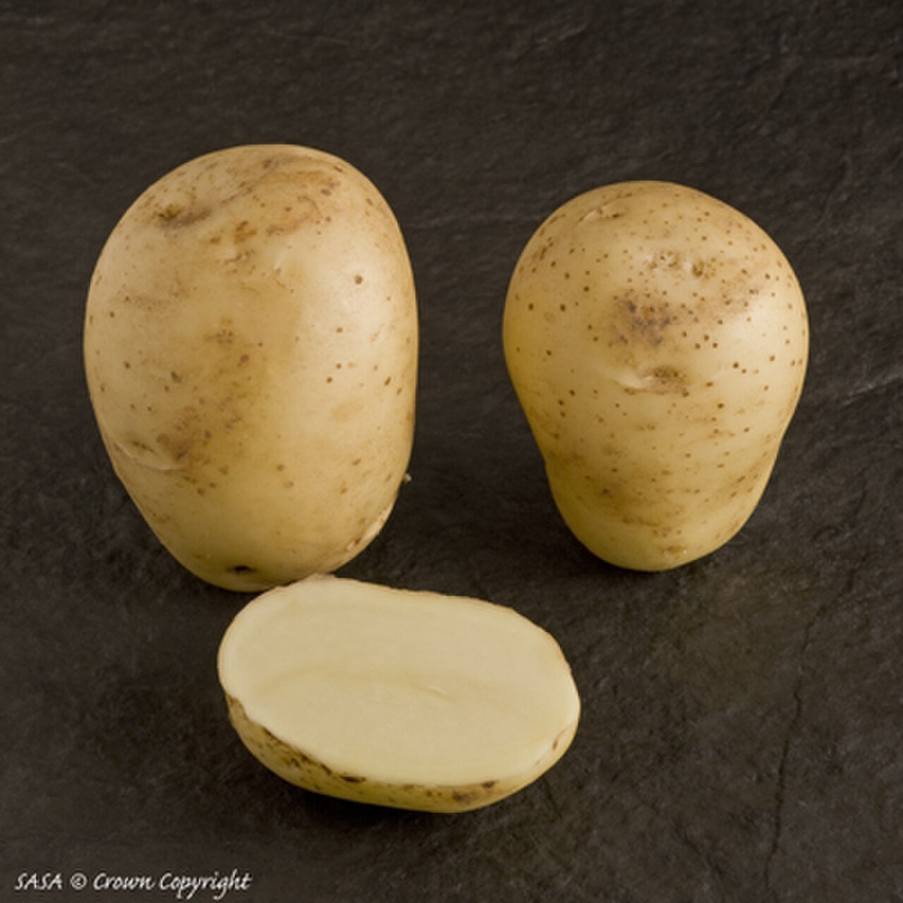 Vivaldi potato SASA.jpg