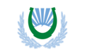 Flag of Nalchik