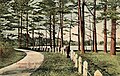 Tsienneto Boat Club c. 1910