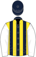Dark blue and yellow stripes, white sleeves, dark blue cap