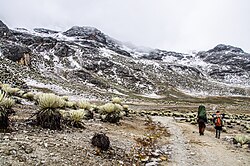 The Sierra de la Culata
