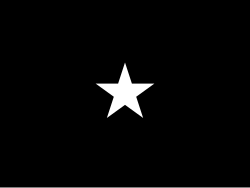Flag of a United States Space Force brigadier general