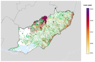 Map of Itapúa showing tree-cover loss years, with forest remaining since 2000 in green and loss years shaded yellow through purple.
