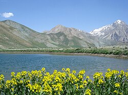 lake Lar