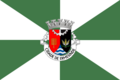 Flag of Ermesinde