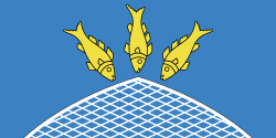 Flag of Pastavy