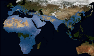 Map showing the extent of the Acheulean
