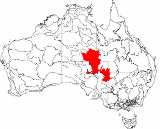 The interim Australian bioregions, with Simpson Strzelecki Dunefields in red