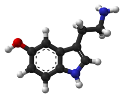 Ball-and-stick model of the serotonin molecule