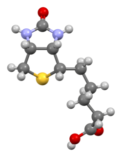 Ball-and-stick model of the Biotin molecule