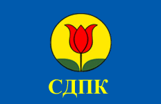 Party flag (until the end of 2000s)
