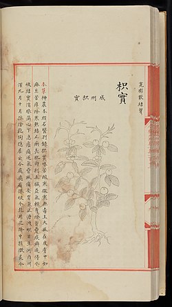 A page from a book written in Chinese characters