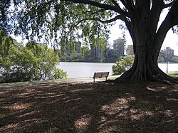 Photograph of a public park in West End, Brisbane