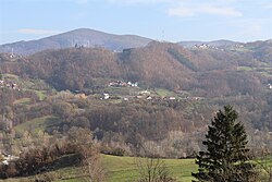 Dljin, Lučani