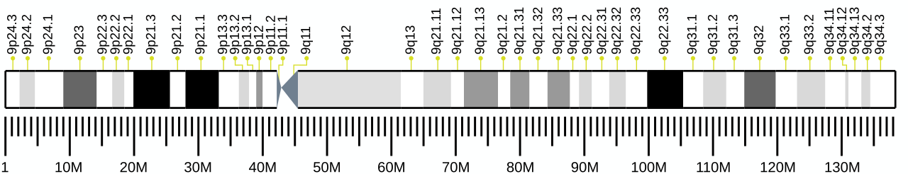 Human chromosome 9 ideogram.svg