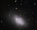 Dwarf galaxy UGC 685 taken by Hubble.[44]
