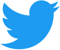 A blue bird