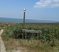 The reserve entrance, with herring gull
