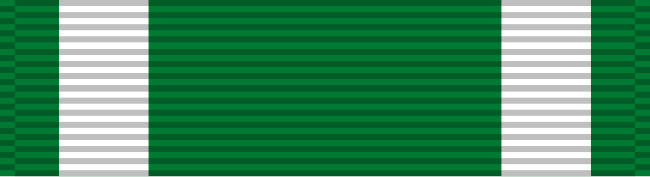 Navy and Marine Corps Commendation Medal ribbon.svg