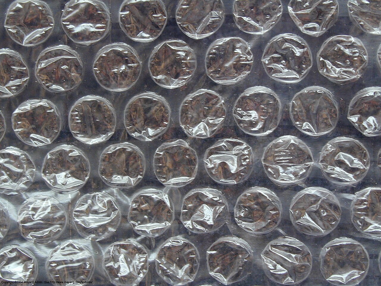 Bubble Wrap.jpg