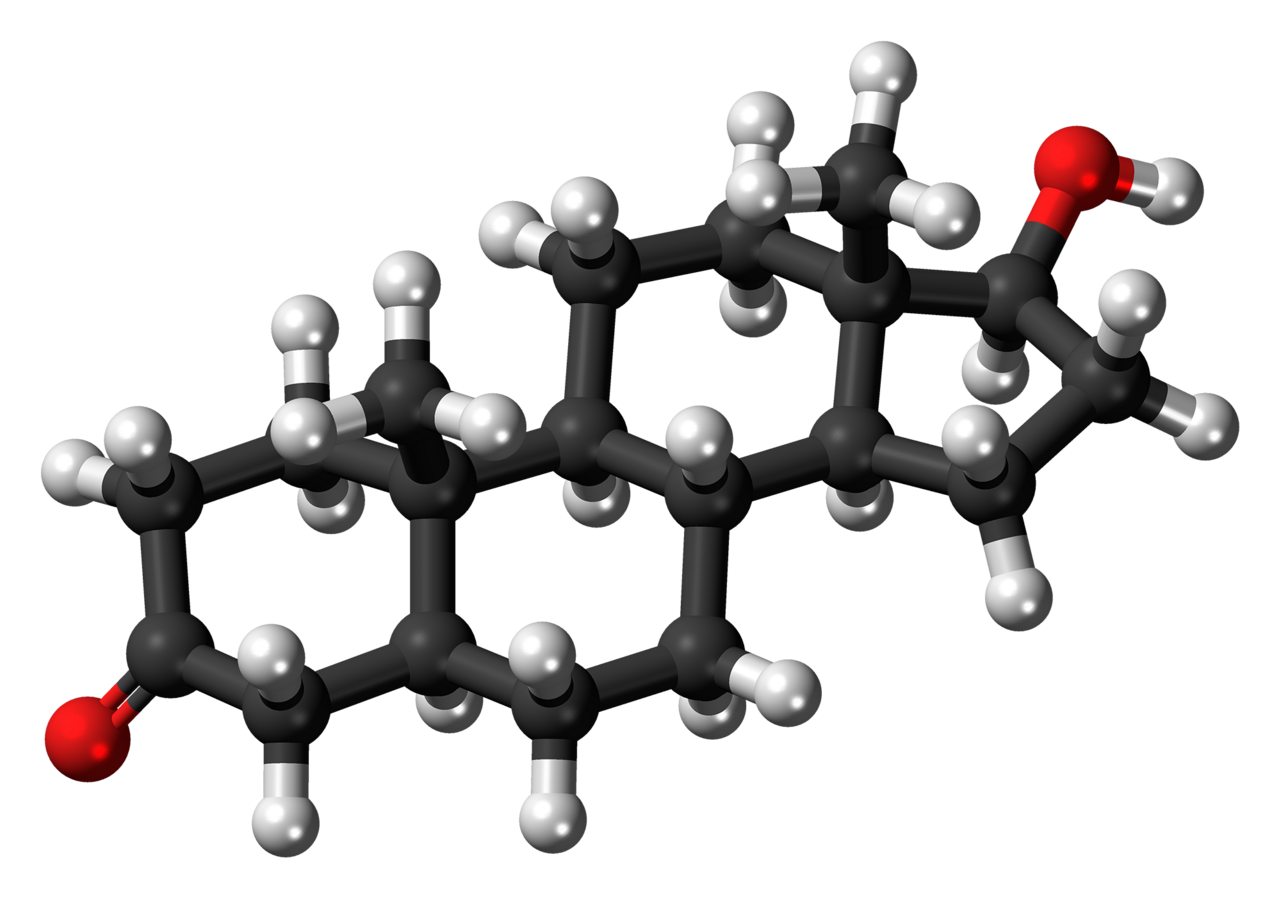 Dihydrotestosterone molecule ball.png