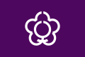 Flag of Tenri