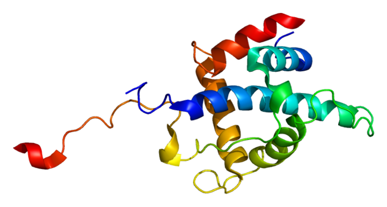 Protein CITED2 PDB 1r8u.png