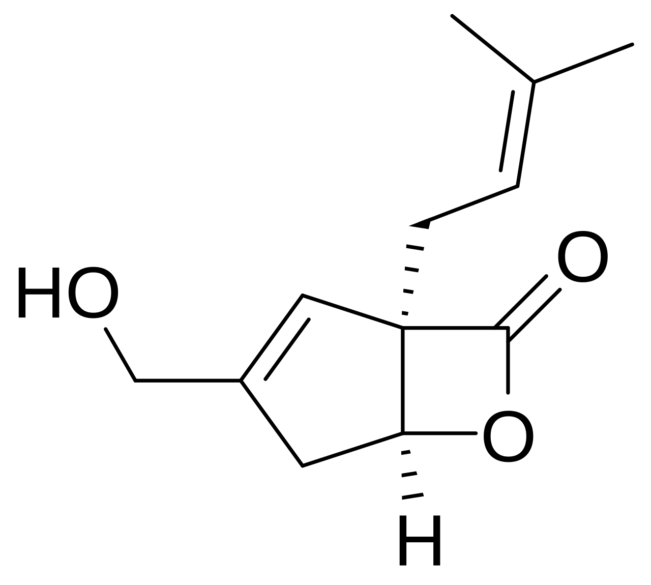 Vibralactone.svg