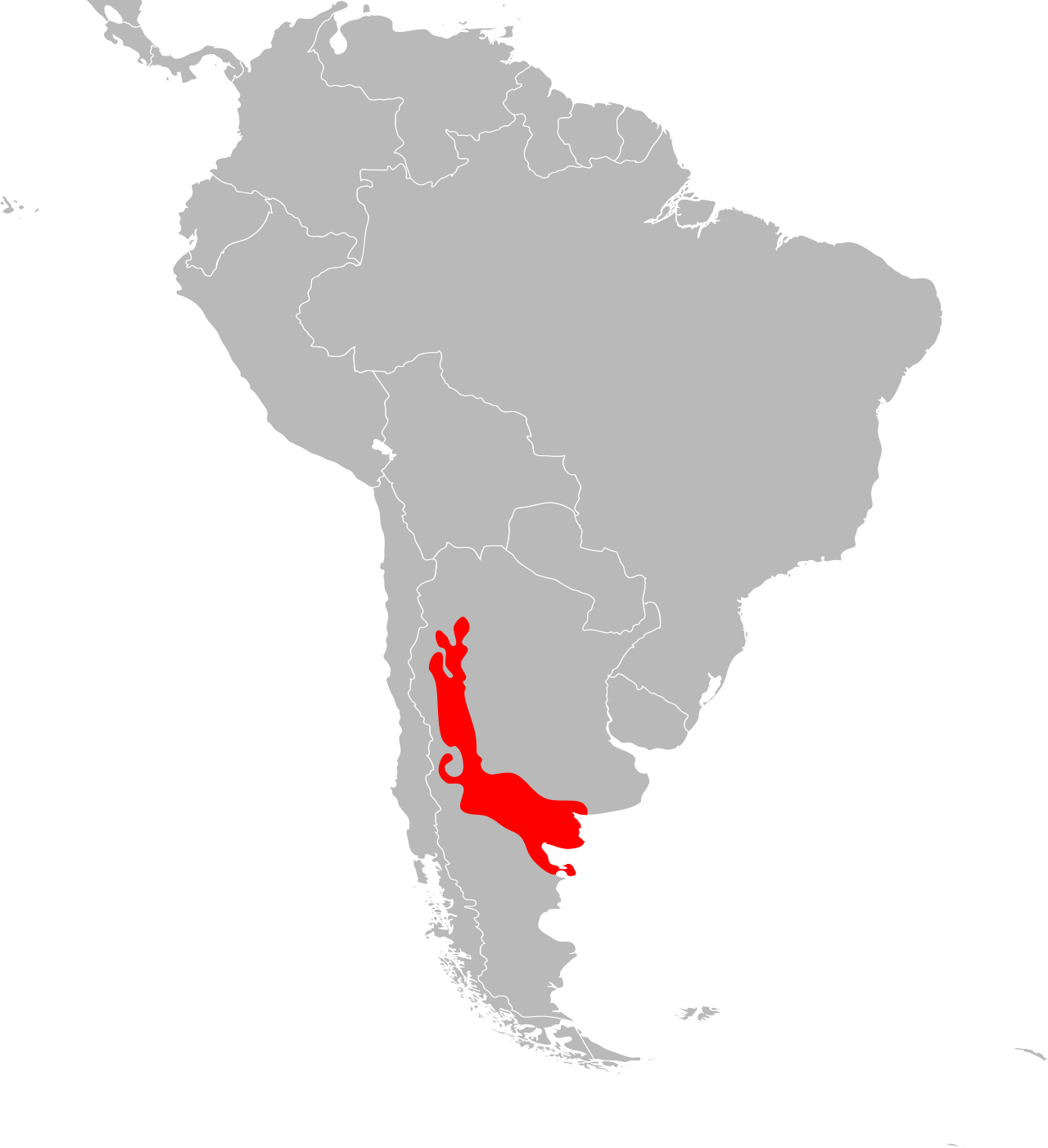 Cnemidophorus longicaudus distribution.svg