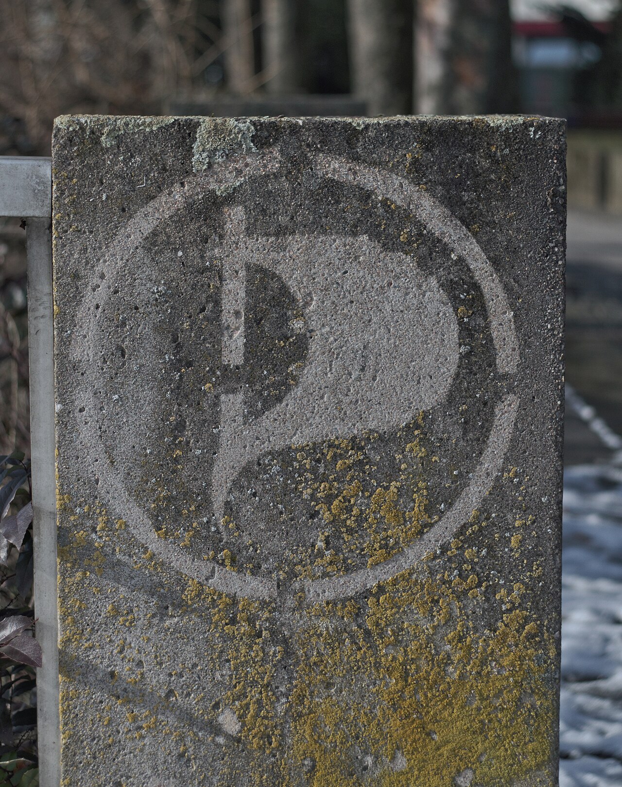 Reverse-graffiti Piratenpartei Bayreuth (01).jpg
