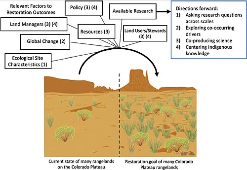 "Restoration outcomes are the product of many diverse, interconnected factors. The black textboxes in this illustration highlight key factors that directly and indirectly affect restoration success. The panels represent examples of a degraded dryland on the Colorado Plateau (left panel) and a restoration goal for that landscape (right panel). We suggest that by expanding research efforts to encompass as many of these other key factors as possible, we can promote restoration success. Speci cally, we present four research directions to achieve this goal (blue textbox). The numbers in the black textboxes correspond to the factors associated with each of the research directions highlighted here." (Young et al. 2023)