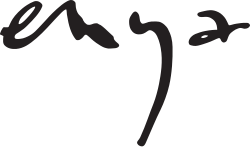 Enya logo, letters 'e n y a' stylised