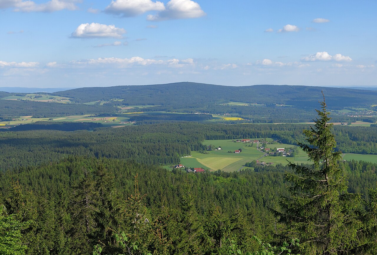 Platte-Steinwald.jpg