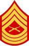 E-8 insignia