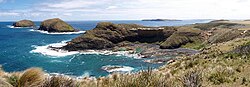 Cape Grim, looking North. The Doughboys on the left, Trefoil Island in middle distance, Hunter Island and Three Hummock Island beyond to the right.
