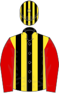 Black and yellow stripes, red sleeves