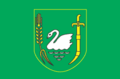 Flag of Lebedyn