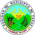 Official seal of Tapaz