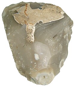A hand axe made of Miorcani flint from the Cenomanian chalky marl layer of the Moldavian Plateau (c. 7.5 cm wide)