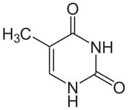 2D representation of the chemical structure of thymine .