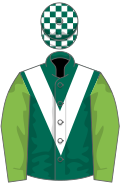 Dark Green, white chevron, light green sleeves, dark green and white check cap