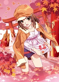 The artwork for the DVD release of volume 4 of the Bakemonogatari anime series.
