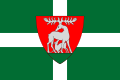 Flag of Telki