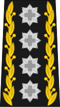 General (Swiss Land Forces)[43]