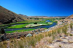A river forms multiple channels as it flows through a desert valley