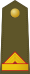 Cabo mayor (Spanish Army)[6]